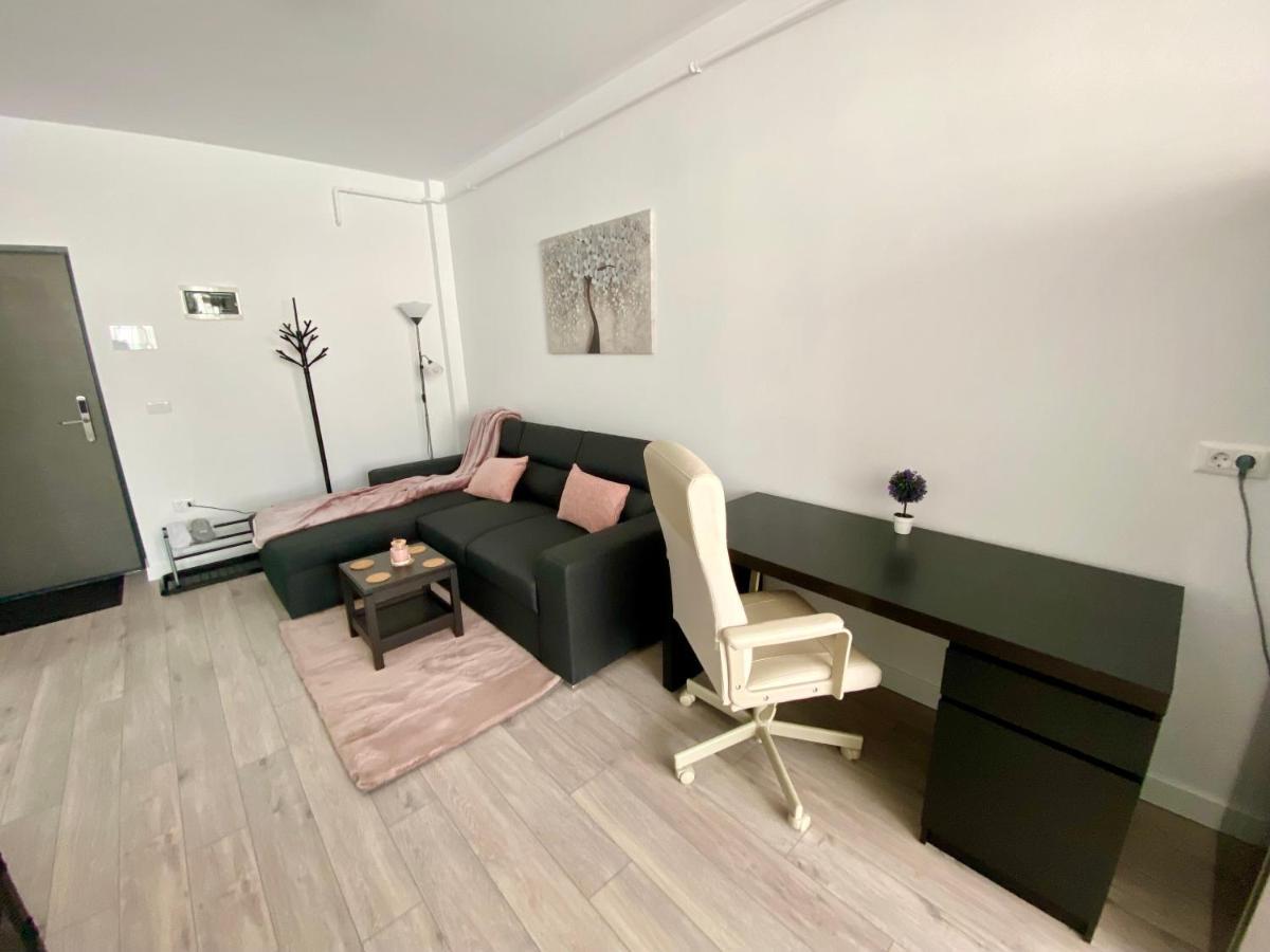 Angela Nordic Apartment. Suceava Exterior foto
