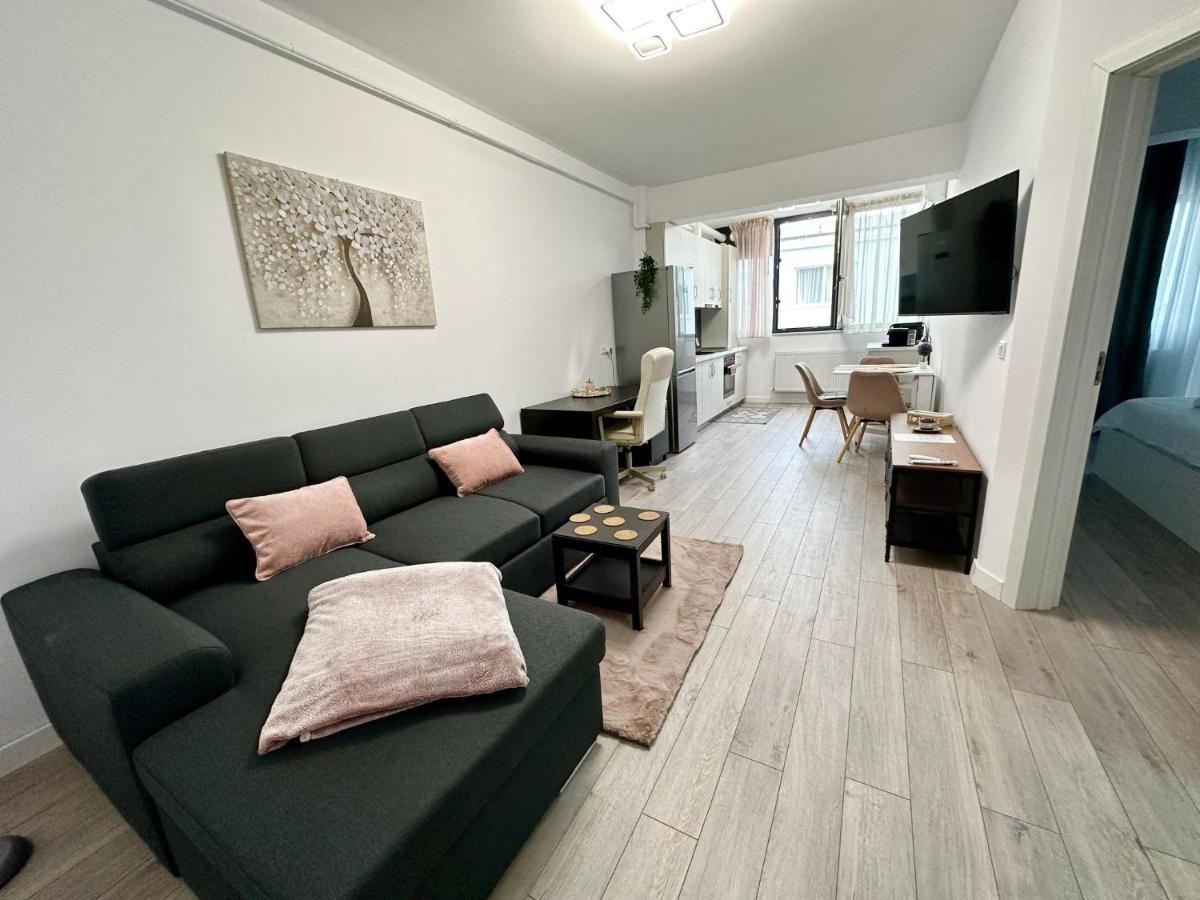 Angela Nordic Apartment. Suceava Exterior foto