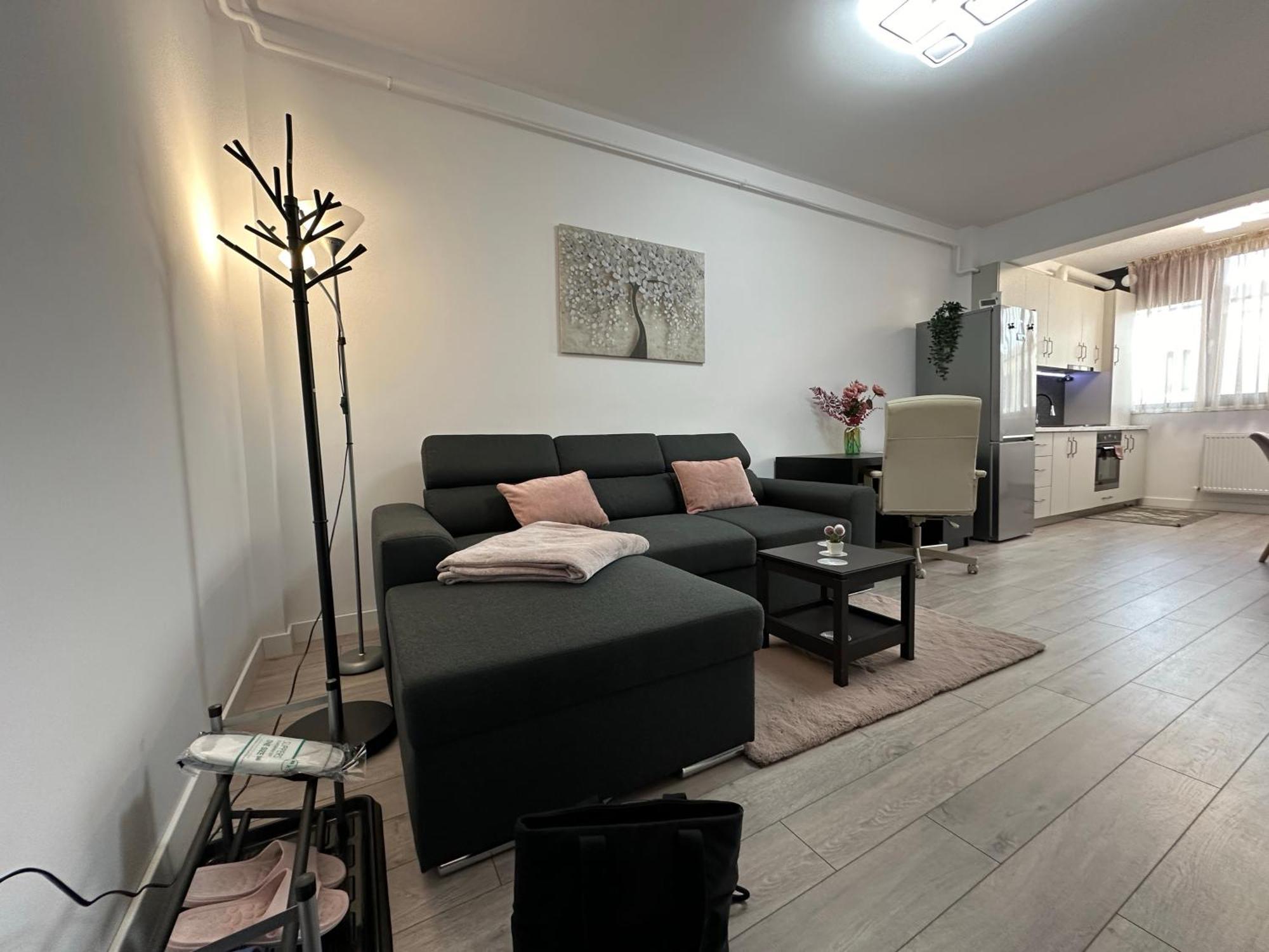 Angela Nordic Apartment. Suceava Exterior foto
